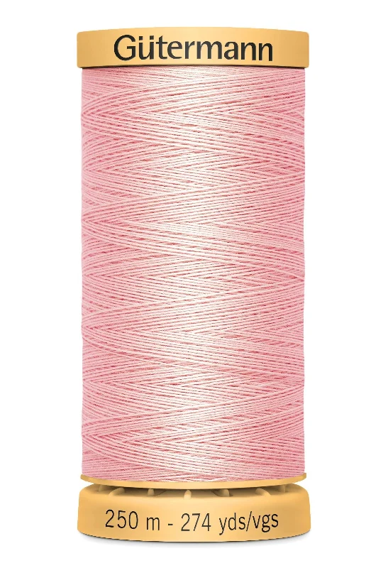2538