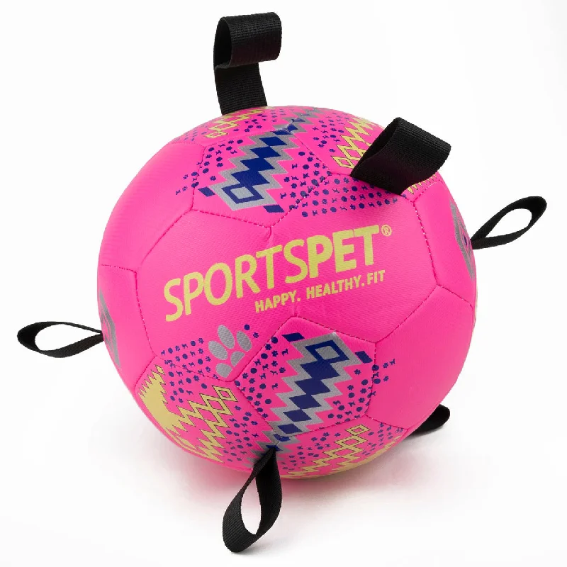  -High-end pet toy rankingsSportspet Tab Footballs 2 Sizes