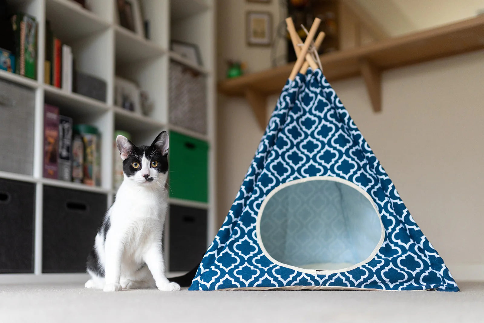 Moroccan Navy Blue