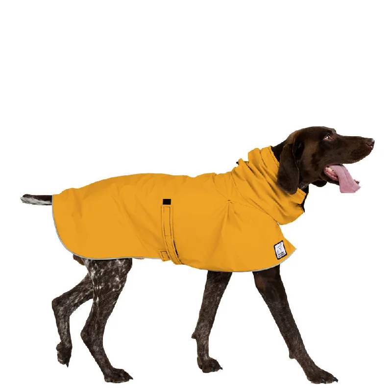 Pet walking leash setGerman Shorthaired Pointer Raincoat