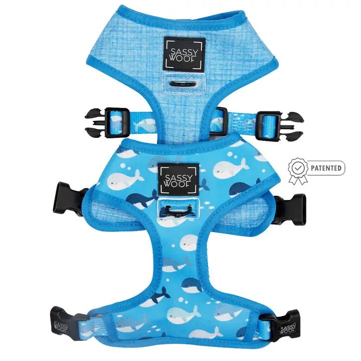 Might As Whale Reversible and Adjustable Harness