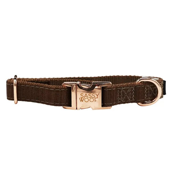 Fall Dog Collar - Teddy