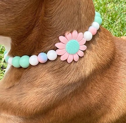 Miss Gerbera Beaded Pet Collar
