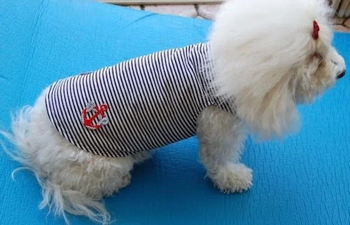 Anchors Away Tank - Stripes