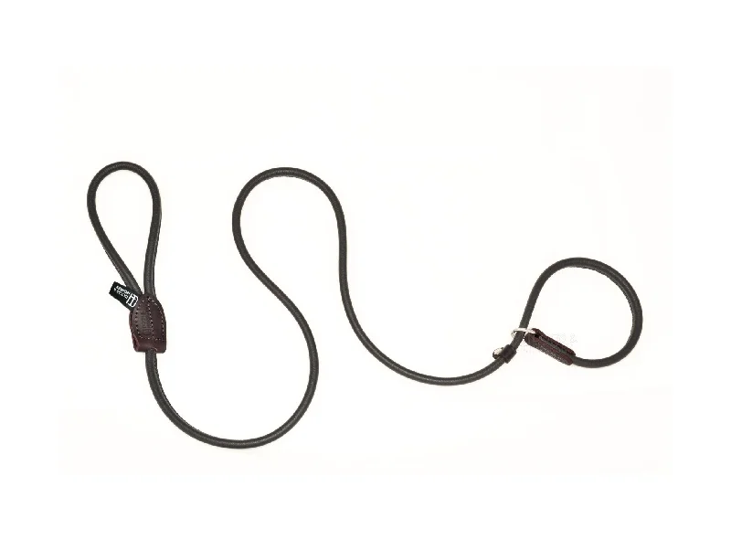 Dogs & Horses Rolled Leather Slip Lead Brown
