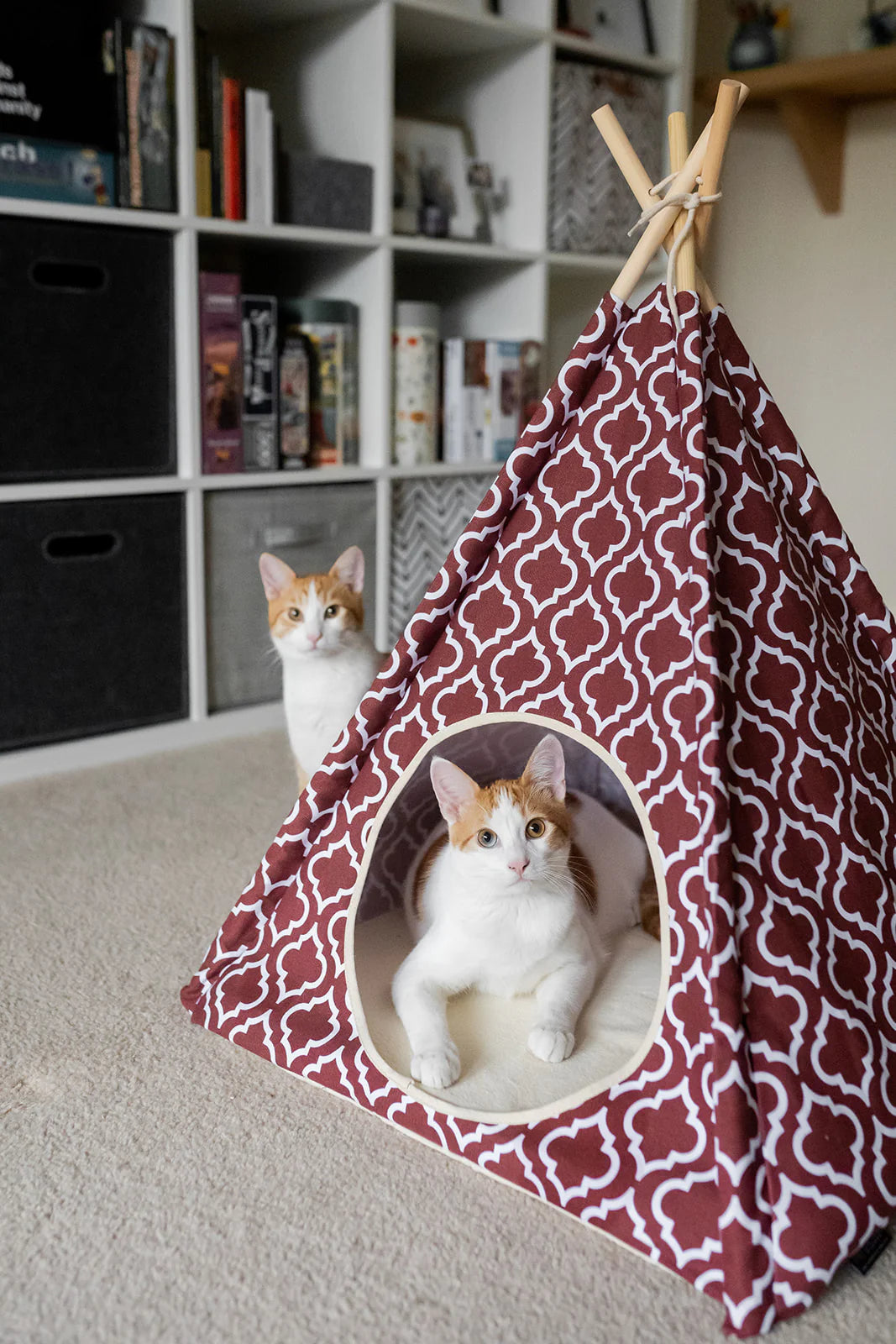 Moroccan Marsala Red