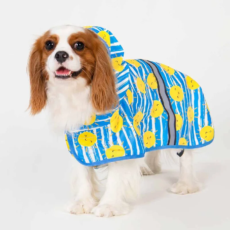Pet Halloween clothesStriped Sun Raincoat