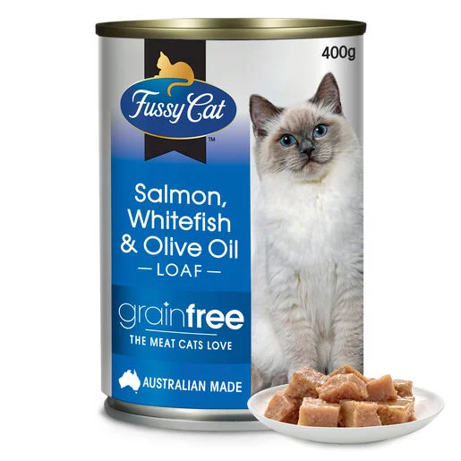 - Cat food for digestive health Fussy Cat Grain Free Salmon and Whitefish with Olive Oil Wet Cat Food 400g - Cat food for digestive health Fussy Cat Grain Free Salmon and Whitefish with Olive Oil Wet Cat Food 400g