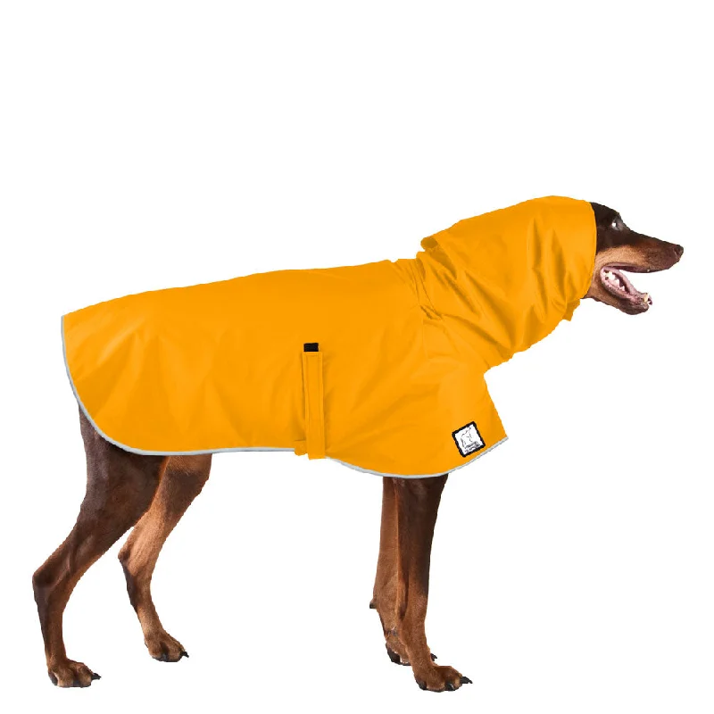 Small dog clothesDoberman Pinscher Raincoat