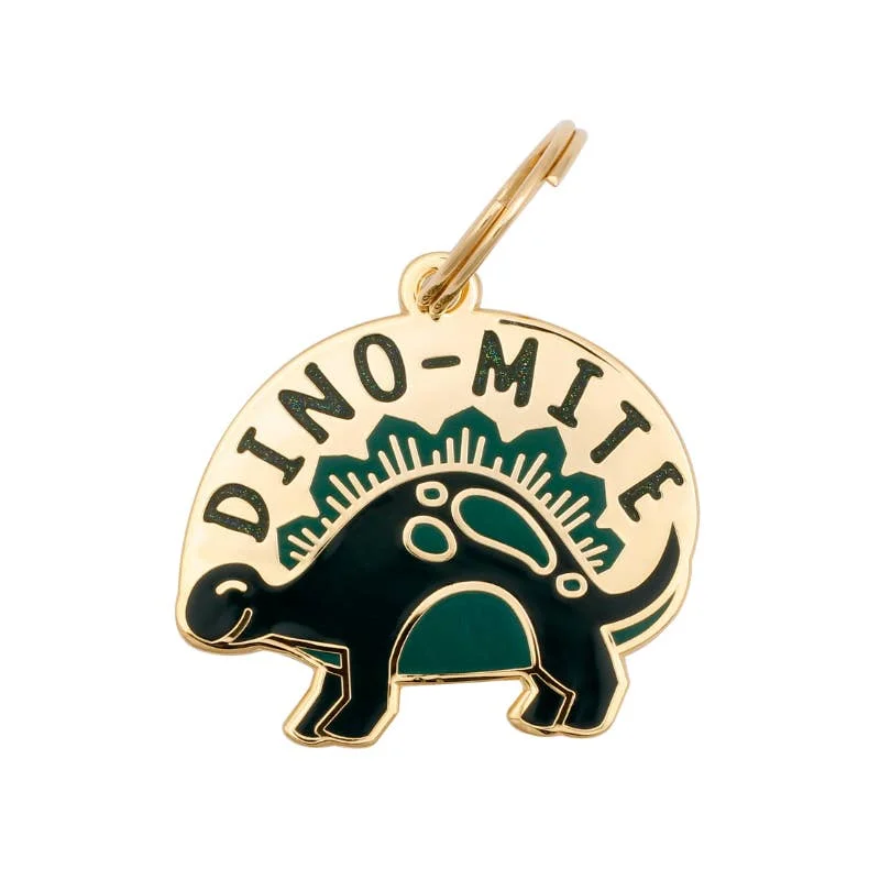 Pet Christmas clothesDino-Mite Pet ID Tag