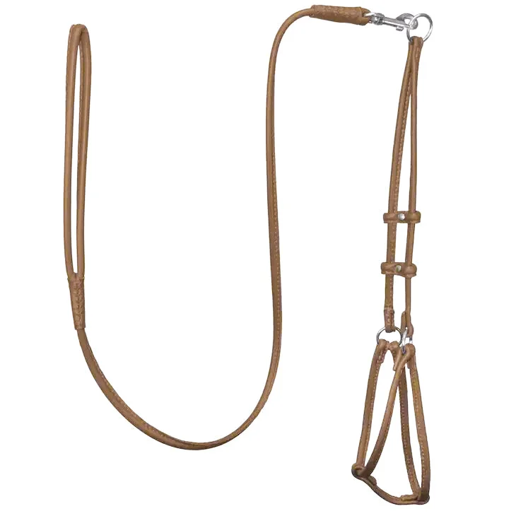 Pet winter warm clothesSoft Leather Harness & Leash
