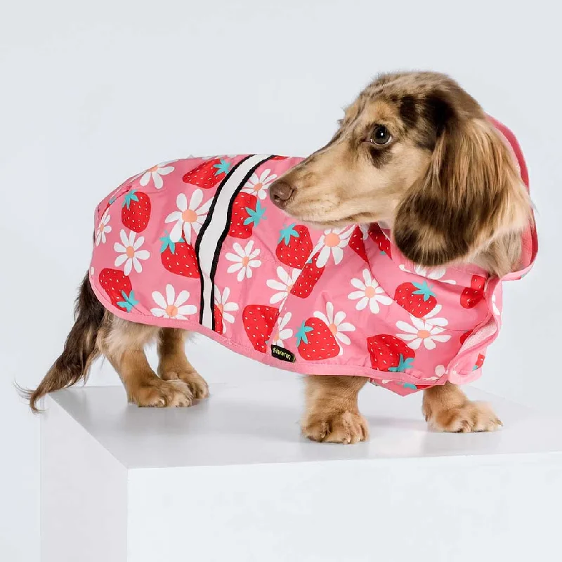 Non-toxic pet clothesSilly Strawberry Raincoat